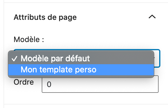 Sélecteur de modèle